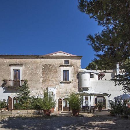 Вілла Masseria Citulo Il Pino Grande Кастель-дель-Монте Екстер'єр фото