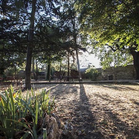 Вілла Masseria Citulo Il Pino Grande Кастель-дель-Монте Екстер'єр фото